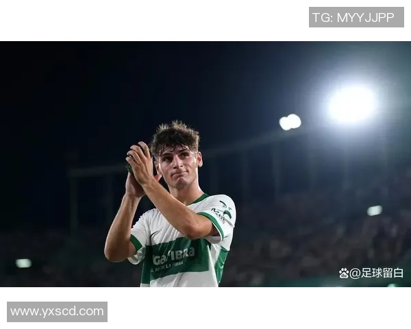 足球明星门多萨的传奇旅程与辉煌成就揭秘